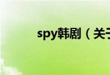 spy韓?。P(guān)于spy韓劇的介紹）
