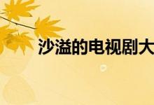 沙溢的電視劇大全（沙溢的電視?。?class=