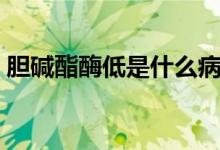 膽堿酯酶低是什么?。憠A酯酶低是什么?。?class=