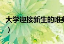 大學(xué)迎接新生的唯美句子（大一開(kāi)學(xué)祝福的話(huà)）