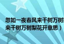 忽如一夜春風(fēng)來(lái)千樹(shù)萬(wàn)樹(shù)梨花開(kāi)的修辭手法（忽如一夜春風(fēng)來(lái)千樹(shù)萬(wàn)樹(shù)梨花開(kāi)意思）