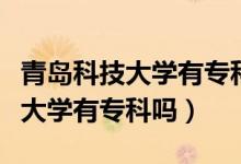 青島科技大學有?？茊崾鞘裁次膽{（青島科技大學有專科嗎）