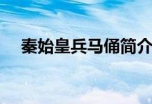 秦始皇兵馬俑簡介(秦始皇兵馬俑簡介)