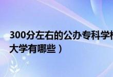 300分左右的公辦?？茖W校（2022年300分左右的公辦?？拼髮W有哪些）