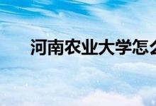 河南農(nóng)業(yè)大學(xué)怎么樣（全國排名第幾）