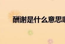 酬謝是什么意思?。ǔ曛x是什么意思）