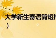 大學(xué)新生寄語(yǔ)簡(jiǎn)短押韻祝詞（新生開學(xué)祝福語(yǔ)）
