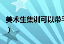 美術(shù)生集訓可以帶平板嗎（可以用電子設備嗎）