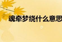 魂?duì)繅衾@什么意思（魂?duì)繅衾@什么意思）