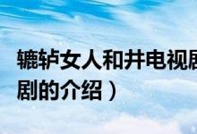 轆轤女人和井電視?。P(guān)于轆轤女人和井電視劇的介紹）
