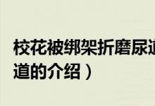 校花被綁架折磨尿道（關(guān)于?；ū唤壖苷勰ツ虻赖慕榻B）