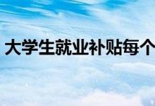 大學(xué)生就業(yè)補(bǔ)貼每個(gè)人都有嗎（都能領(lǐng)到嗎）