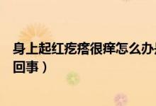 身上起紅疙瘩很癢怎么辦是什么?。ㄉ砩掀鸺t疙瘩很癢怎么回事）