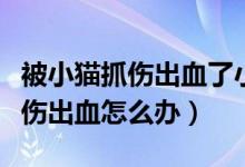 被小貓抓傷出血了小貓沒(méi)有狂犬?。ū恍∝堊鲅趺崔k）